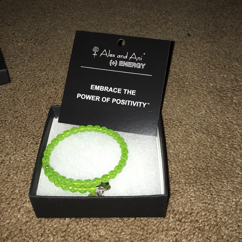 Alex and Ani energy bracelet